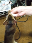 犯人逆上2