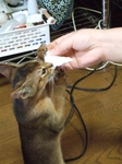 逆上して襲う犯人