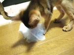 証拠隠滅再び2