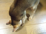 犯行の瞬間2