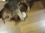 犯行の瞬間