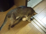 犯行の瞬間3