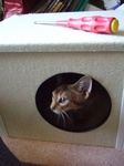 BOX組み立て中1