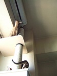 完成>2匹チェック2