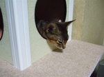 首苦しくないの?1