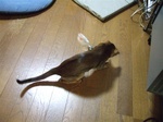 一人遊びサムネイル