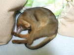 いつのまにか寝ちゃいました