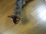 近寄ってきて・・・