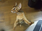でも周りも気になるの
