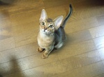 やっぱり構って欲しいです