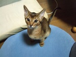 ノワあっぷ1
