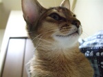 ノワ下から