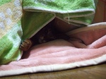 潜ってます