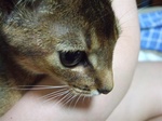 凹むノワ