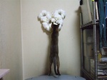 手を出す3