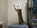 ひもを〜2