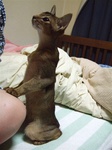 正座3
