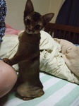 正座2