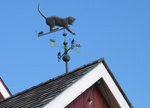 屋根の上の猫