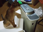 ノワとXbox360