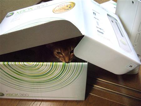 tbノワとXbox360