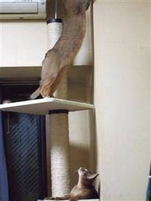何してるの?