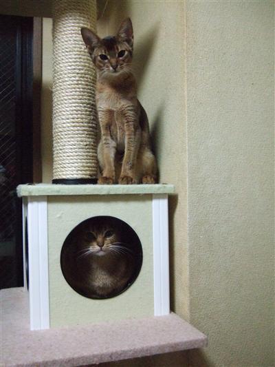 2段に上下