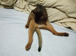 親父座り3