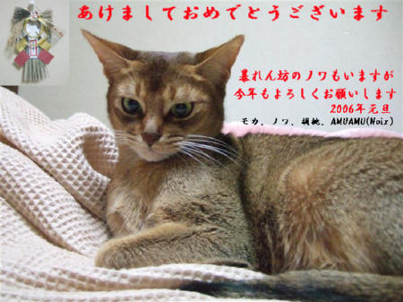 年始ご挨拶tb