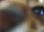 ノワあっぷ