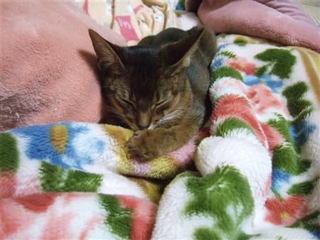 雪、その後