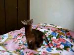 tbじゃーんぷ?!