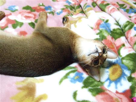 ひっくり返って