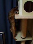 ゆっくり