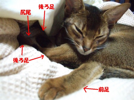 何かおかしい