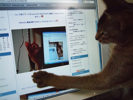 かるびちゃんを追う再び