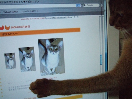 そらくんを追う