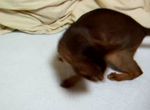 体力が足りない