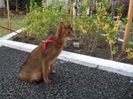 地面で4