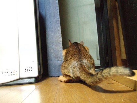 うしろ