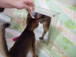 初めての鏡1
