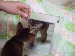 初めての鏡2