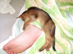 変な寝かた