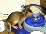 ウォーターファウンテン