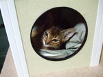 ノワ部屋から