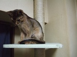 上から見る