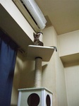 上から視線