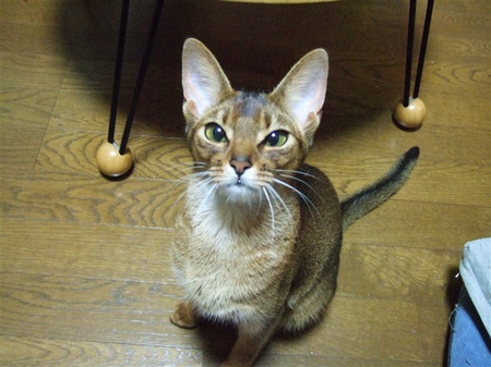 ヒゲ前に出てます?